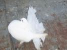 Picture 014