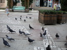 DSCN0155