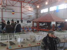 2009-12-20_12-17-26_201220092180