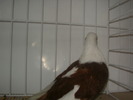 SANY0103