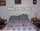 a plecat BAU BAU?