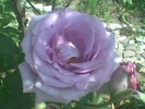 Imag018
