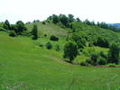 DSCF0532