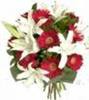 images_12