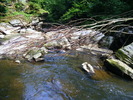 DSCF5206
