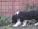 poze 04.05.2009 120