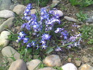 Imag071