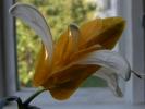 DSCF1728