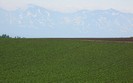 Planet Scenes 167
