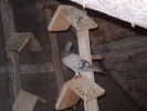 P1010060