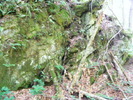DSCF5294