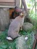 Picture 037