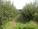 DSCN3198