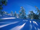 New Images 891