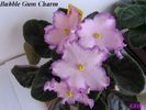 Bubble Gum Charm 2009 maj 24