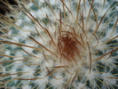 DSC00620
