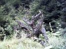 PICT0287