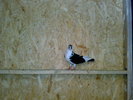 25052008422