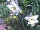 Imag045