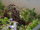 Picture 020