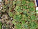 DSC01676