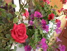 Picture 007