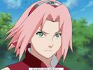 sakura 17