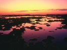 Ebb Tide