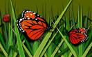 grass_butterfly-1280x800