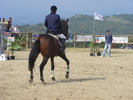 Picture 041
