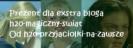 AXZPDHSVRMWTFFKAEDA