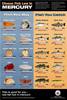 Fish-poster-550