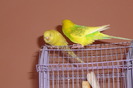 P1020365