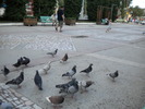 DSCN0160