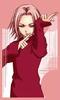 sakura 6