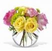 Pink-lemonade-poza-t-T-n-t_16420