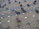 P9040132