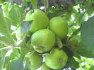 PICT0117