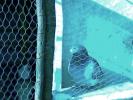 IMG0113A