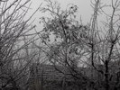 DSCF2214