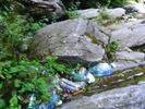 DSCF5178