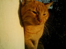 IMAG0027