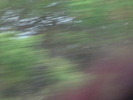 DSCN1590