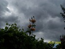 100_8238