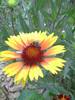 PICT0088