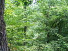 DSCF2559