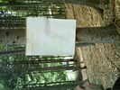 IMAG0031