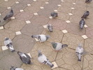 P9040129