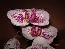 DSC02573