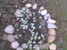 Imag064